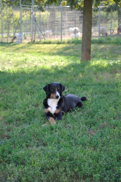 ca' del corsi Rachele